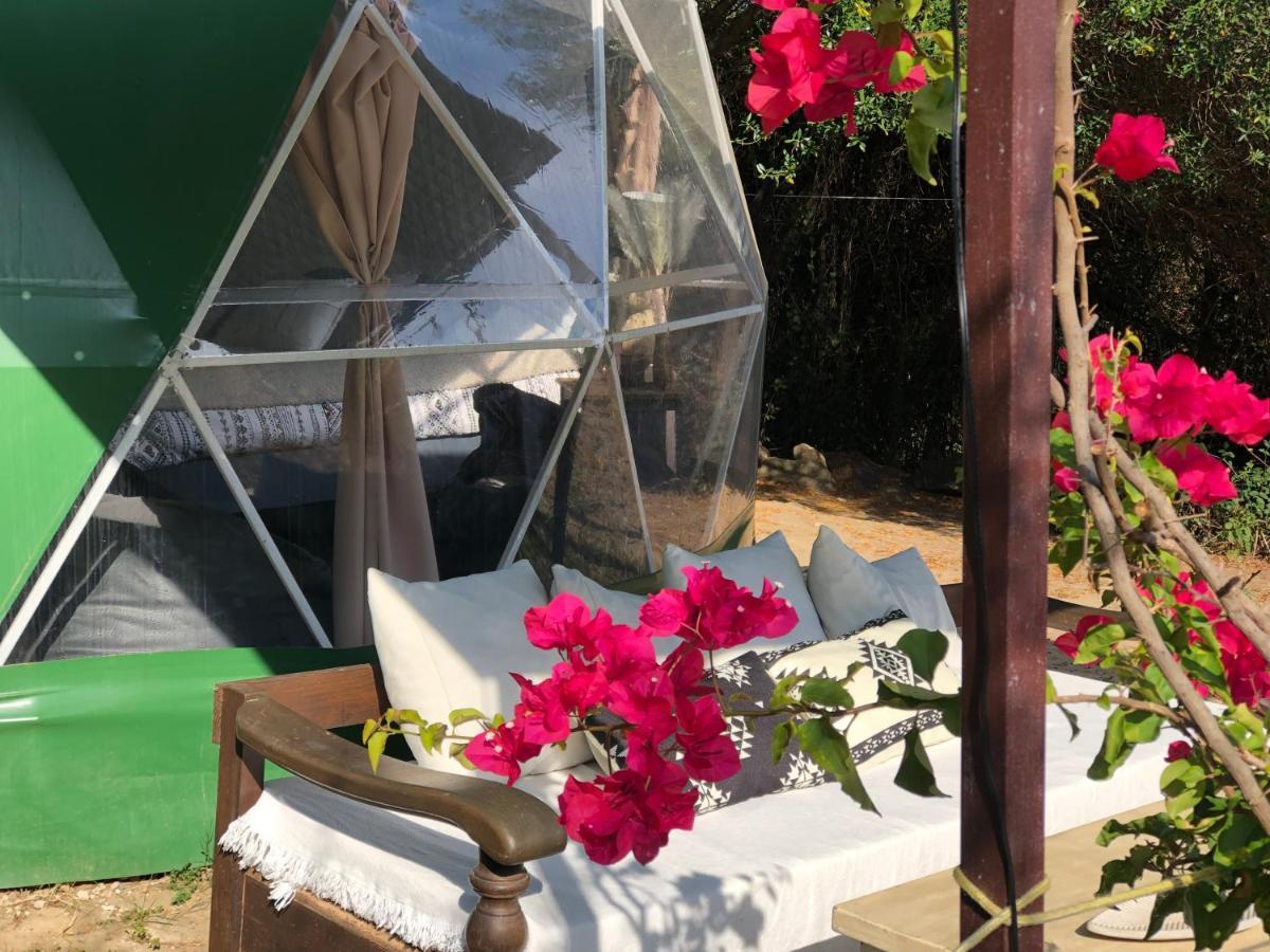 מלון טריפה Eco Spirit מראה חיצוני תמונה